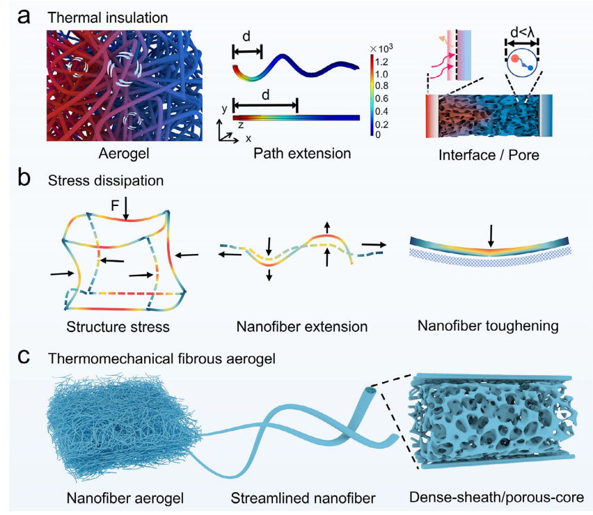 东南大学代云茜教授《Advanced Science》：分层结构双氧化物纳米纤维气凝胶的多功能协同作用